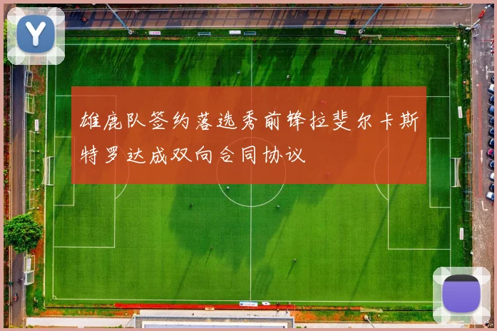 雄鹿队签约落选秀前锋拉斐尔卡斯特罗达成双向合同协议