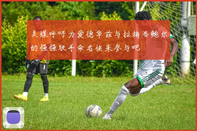 美媒呼吁为爱德华兹与拉梅洛鲍尔的强强联手命名快来参与吧